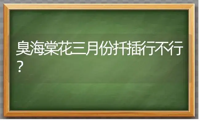 臭海棠花三月份扦插行不行？ | 绿植常识