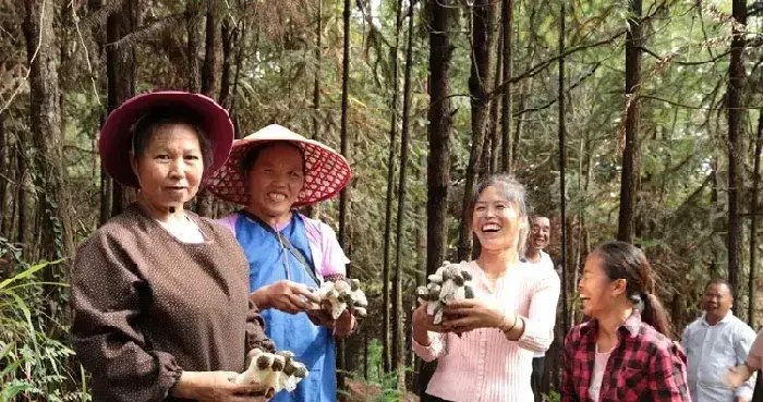 贵州三都：林下经济拓宽群众增收路