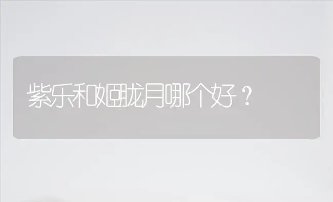 紫乐和姬胧月哪个好？ | 多肉养殖