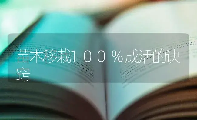 苗木移栽100%成活的诀窍 | 特种种植