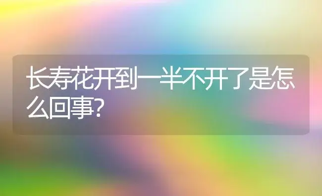 长寿花开到一半不开了是怎么回事？ | 多肉养殖