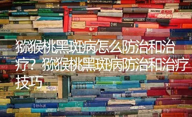 猕猴桃黑斑病怎么防治和治疗？猕猴桃黑斑病防治和治疗技巧 | 果木种植