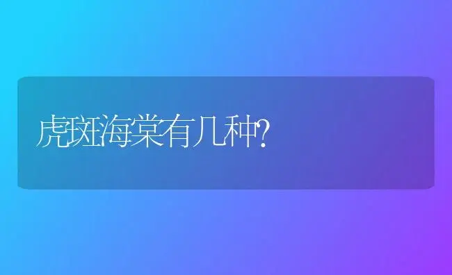 白色风信子为题有什么深刻含义？ | 绿植常识