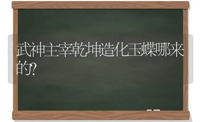 武神主宰乾坤造化玉蝶哪来的？ | 多肉养殖