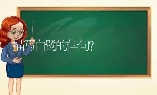 描写白鹭的佳句？ | 多肉养殖