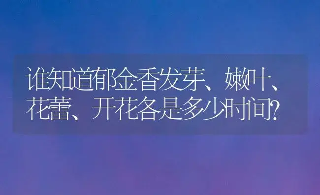 谁知道郁金香发芽、嫩叶、花蕾、开花各是多少时间？ | 绿植常识