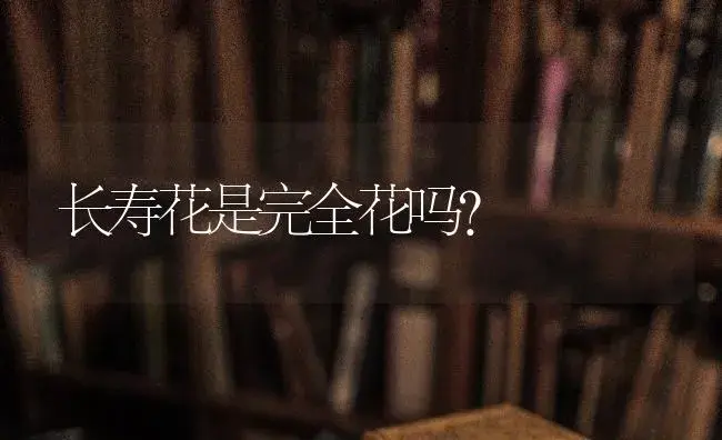 长寿花是完全花吗？ | 多肉养殖