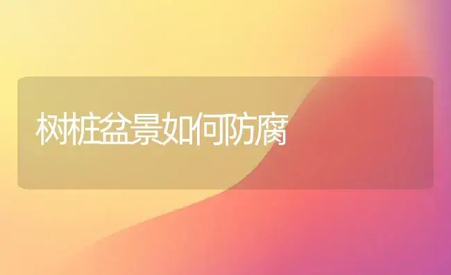 树桩盆景如何防腐 | 家庭养花