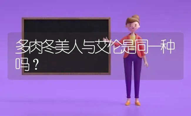 多肉冬美人与艾伦是同一种吗？ | 多肉养殖