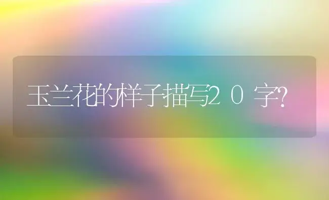 栀子花树可以和绿萝一起放在卧室吗？ | 绿植常识