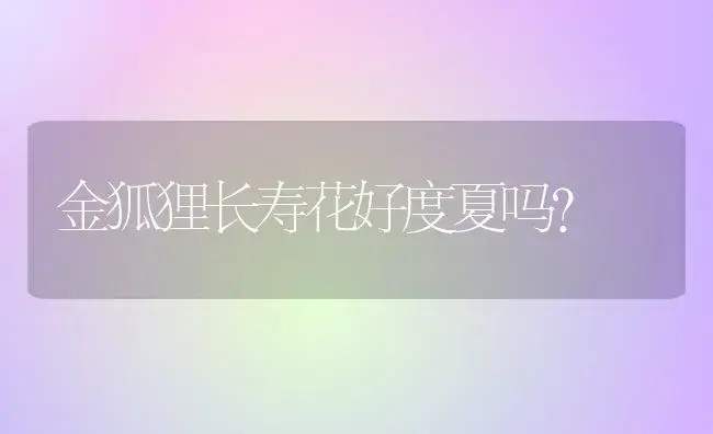 金狐狸长寿花好度夏吗？ | 多肉养殖