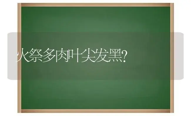 火祭多肉叶尖发黑？ | 多肉养殖