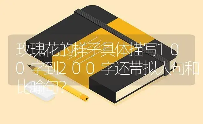 玫瑰花的样子具体描写100字到200字还带拟人句和比喻句？ | 绿植常识