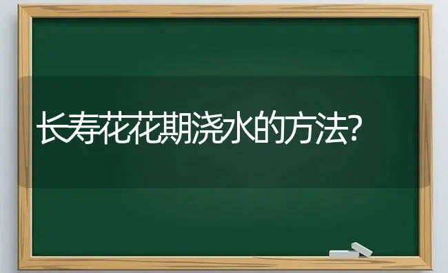 长寿花花期浇水的方法？ | 多肉养殖