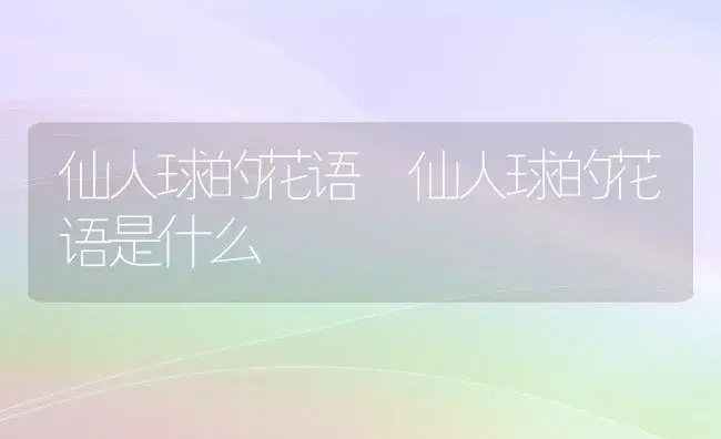 仙人球的花语 仙人球的花语是什么 | 绿植寓意