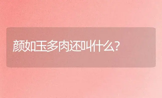 颜如玉多肉还叫什么？ | 多肉养殖