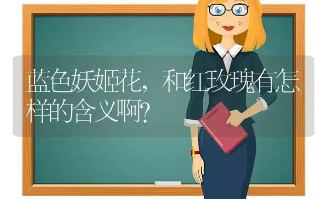 蓝色妖姬花，和红玫瑰有怎样的含义啊？ | 绿植常识