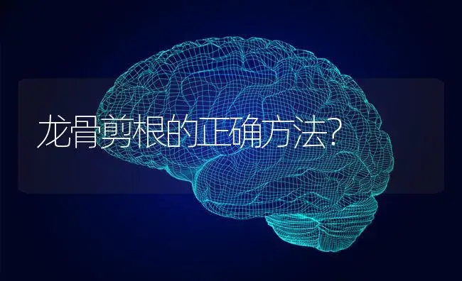 龙骨剪根的正确方法？ | 多肉养殖