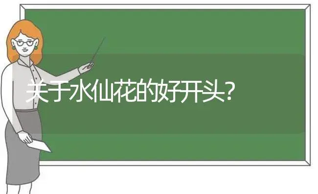 关于水仙花的好开头？ | 绿植常识