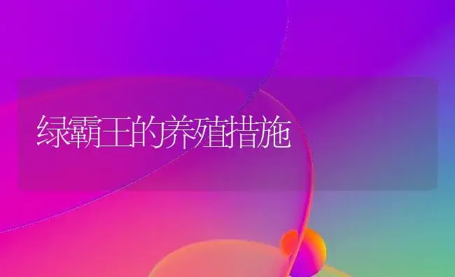 绿霸王的养殖措施 | 家庭养花