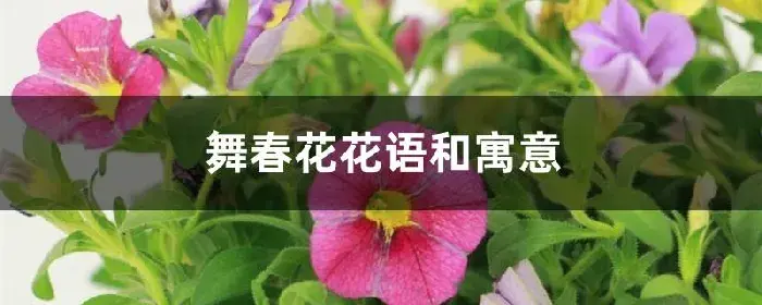 舞春花花语和寓意