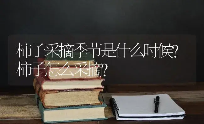 柿子采摘季节是什么时候？柿子怎么采摘？ | 果木种植