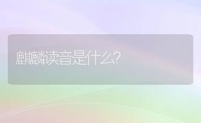 麒麟读音是什么？ | 多肉养殖