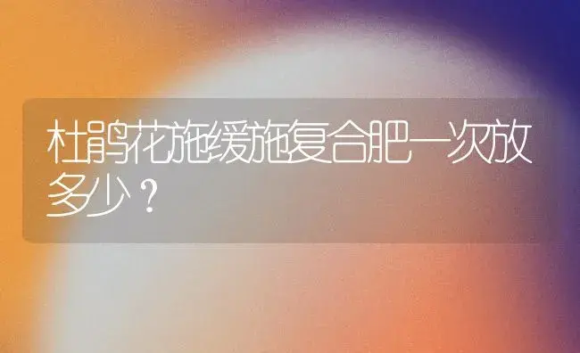 杜鹃花施缓施复合肥一次放多少？ | 绿植常识