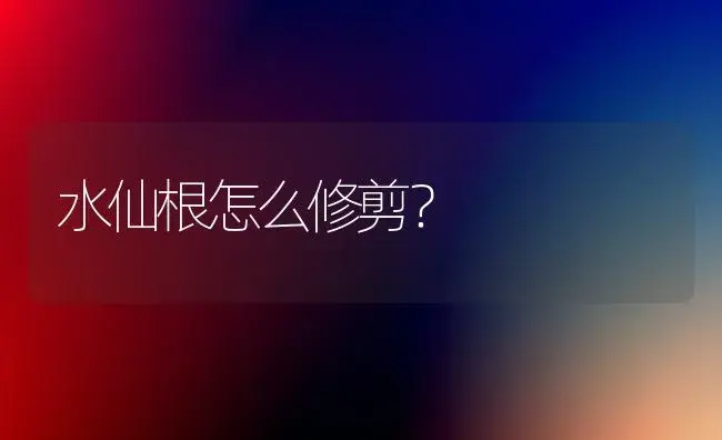 水仙根怎么修剪？ | 绿植常识