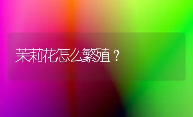 茉莉花怎么繁殖？ | 绿植常识