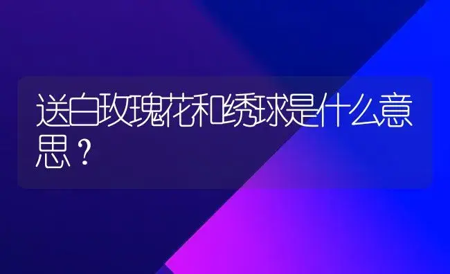 送白玫瑰花和绣球是什么意思？ | 绿植常识