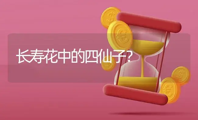 长寿花中的四仙子？ | 多肉养殖