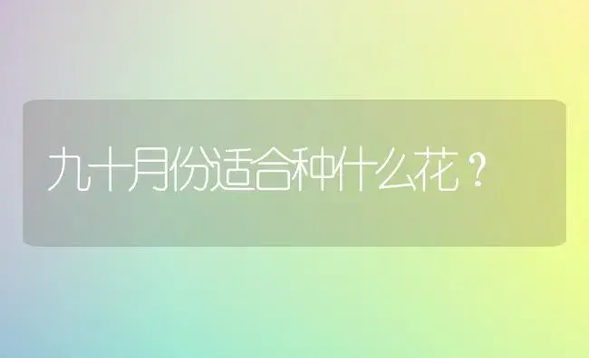 九十月份适合种什么花？ | 绿植常识