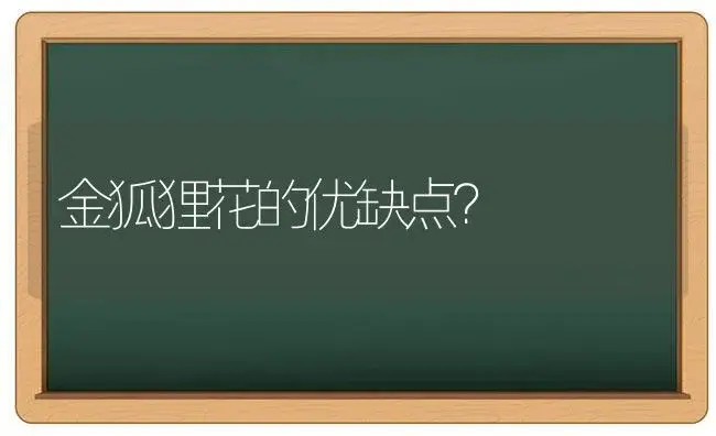 金狐狸花的优缺点？ | 多肉养殖