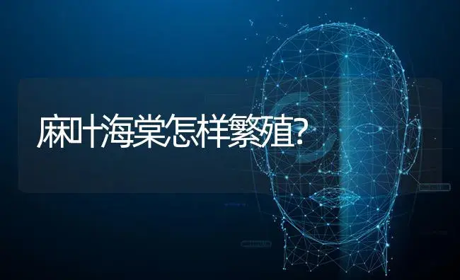 麻叶海棠怎样繁殖？ | 绿植常识