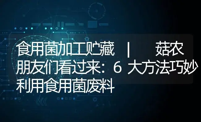 菇农朋友们看过来：6大方法巧妙利用食用菌废料 | 菌菇种植