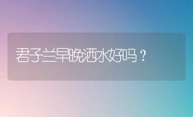 君子兰早晚洒水好吗？ | 绿植常识