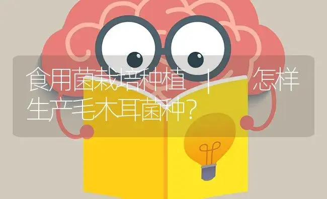 怎样生产毛木耳菌种？ | 菌菇种植