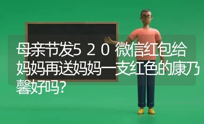 母亲节发520微信红包给妈妈再送妈妈一支红色的康乃馨好吗？ | 绿植常识