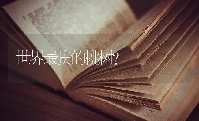 世界最贵的桃树？ | 绿植常识