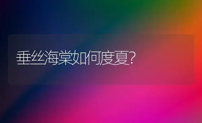 垂丝海棠如何度夏？ | 绿植常识