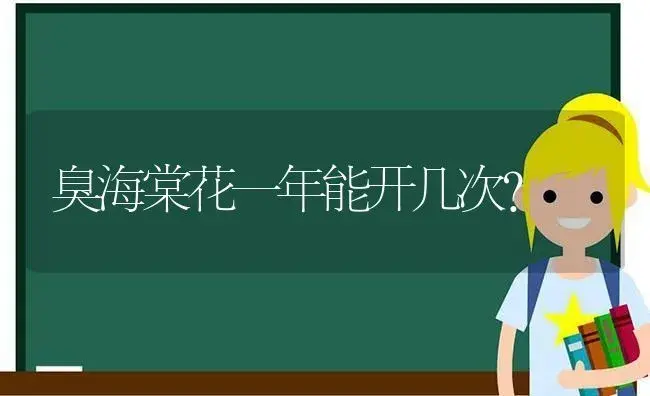 臭海棠花一年能开几次？ | 绿植常识