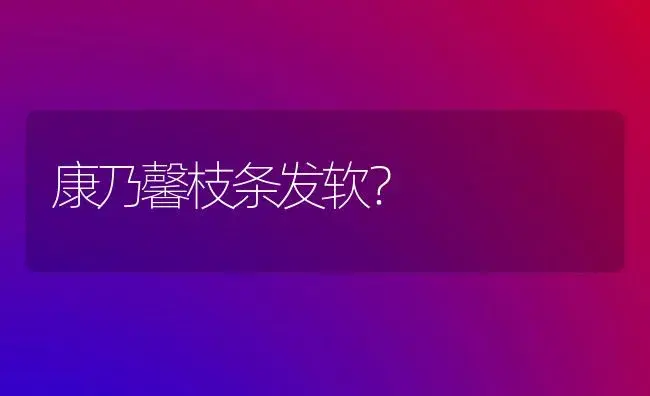 康乃馨枝条发软？ | 绿植常识