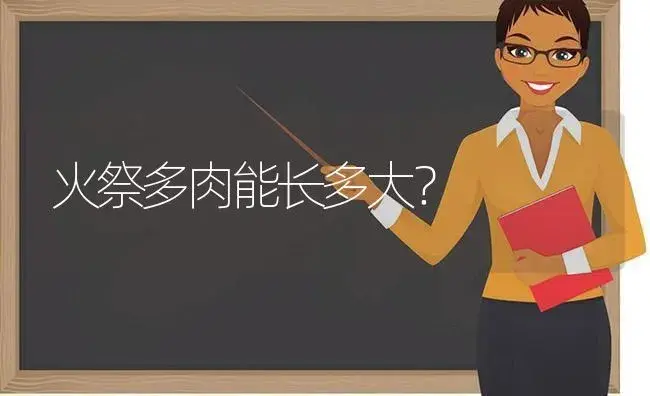 火祭多肉能长多大？ | 多肉养殖