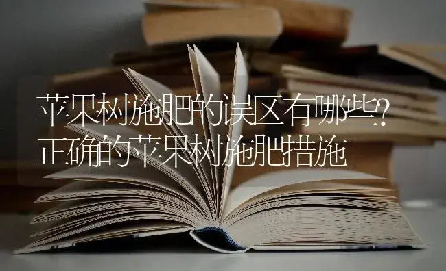 苹果树施肥的误区有哪些？正确的苹果树施肥措施 | 果木种植