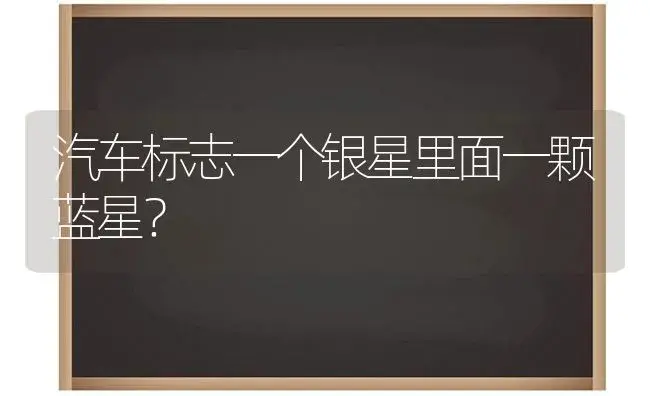 汽车标志一个银星里面一颗蓝星？ | 多肉养殖