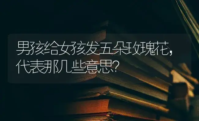 男孩给女孩发五朵玫瑰花，代表那几些意思？ | 绿植常识