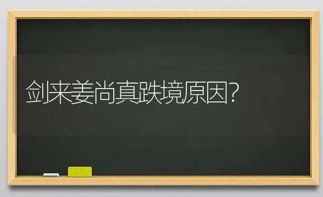 剑来姜尚真跌境原因？ | 多肉养殖