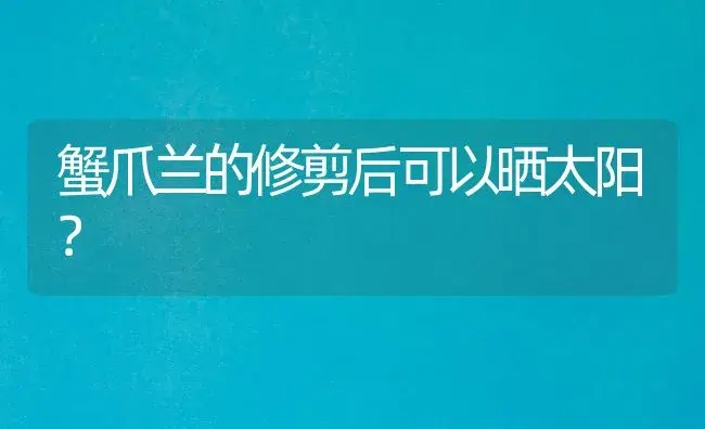 蟹爪兰的修剪后可以晒太阳？ | 多肉养殖