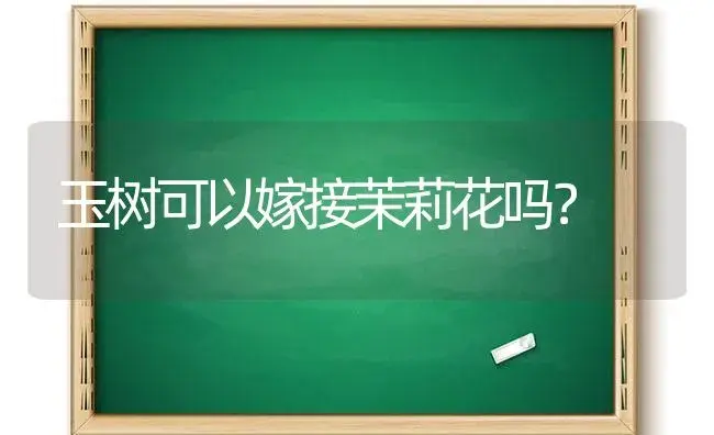 玉树可以嫁接茉莉花吗？ | 多肉养殖